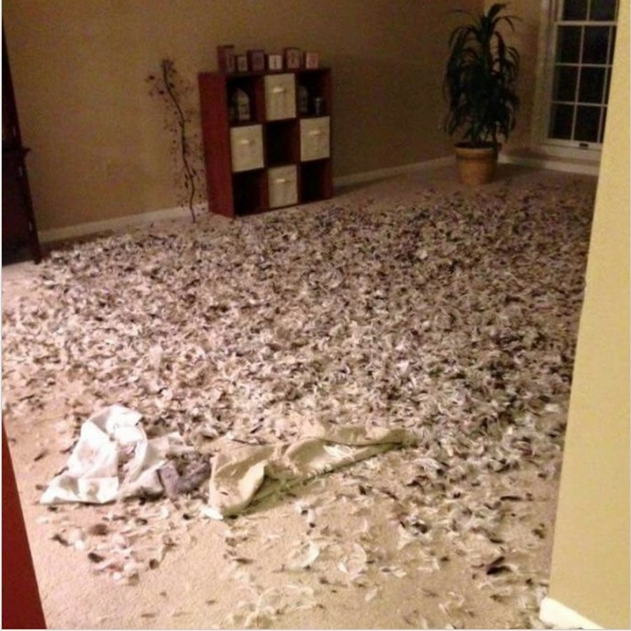 никаких неожиданных сюрпризов