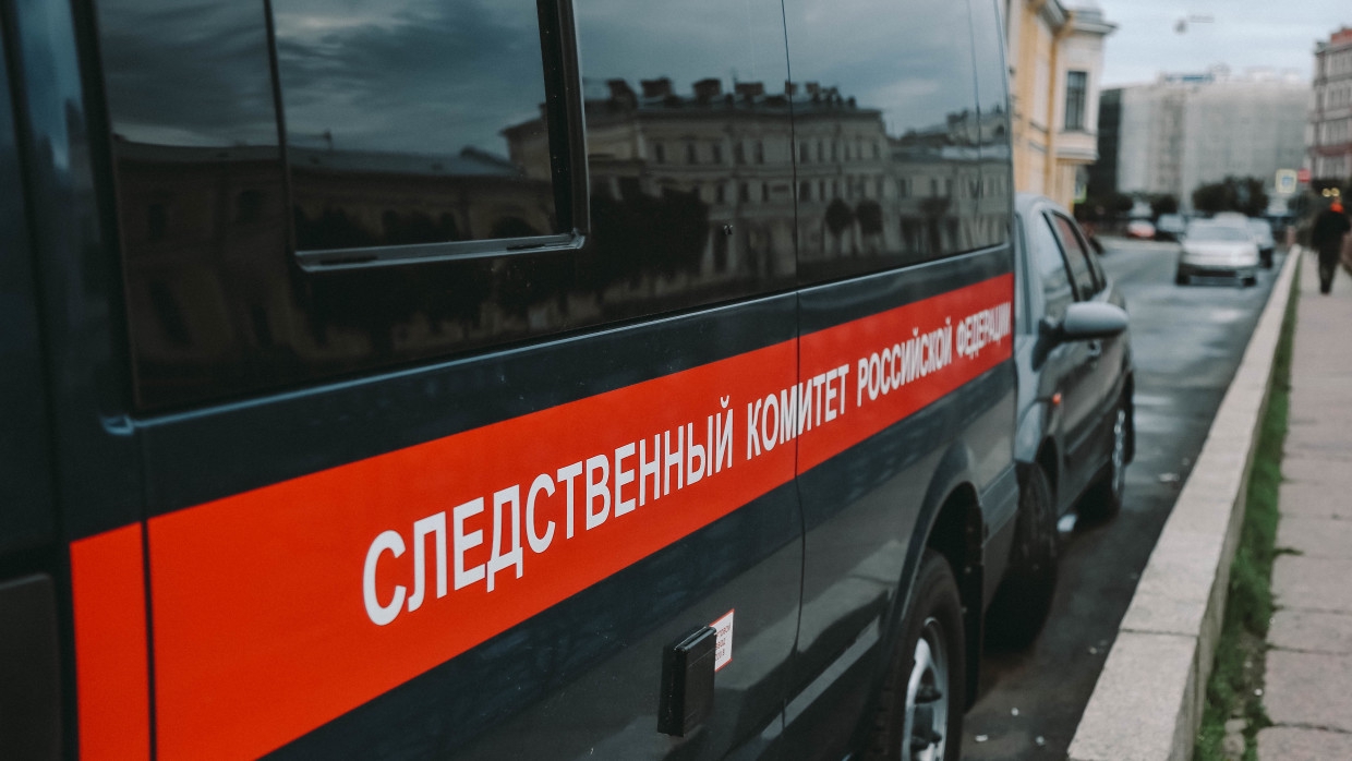 Появились детали убийства двухлетней девочки в Тульской области