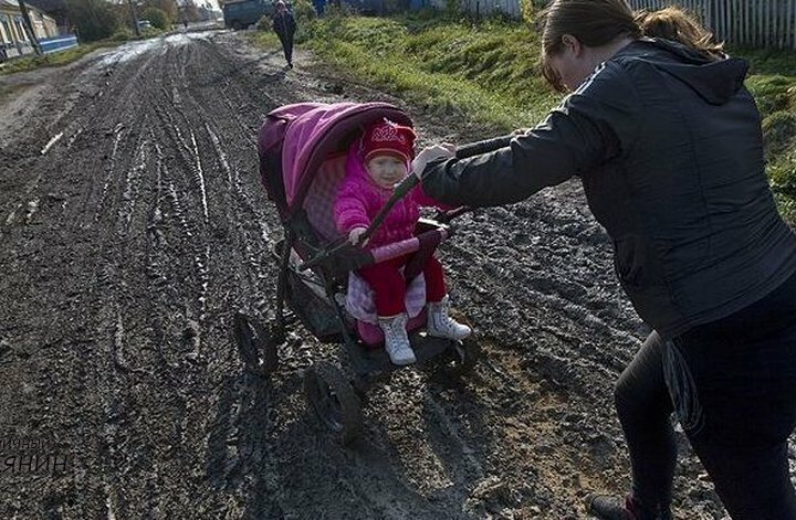 Приезжайте к нам в колхоз - куры, куры и навоз  