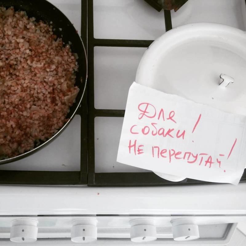  Наутро обнаружить. Мама приходила вольная птица, одиночки, сам по себе, холостяки