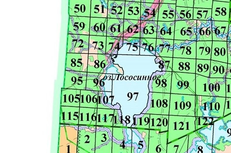 Кадастровая карта лососинное