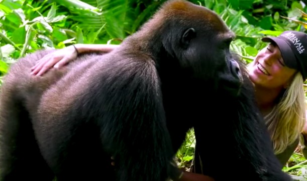 14-gorilla-hug