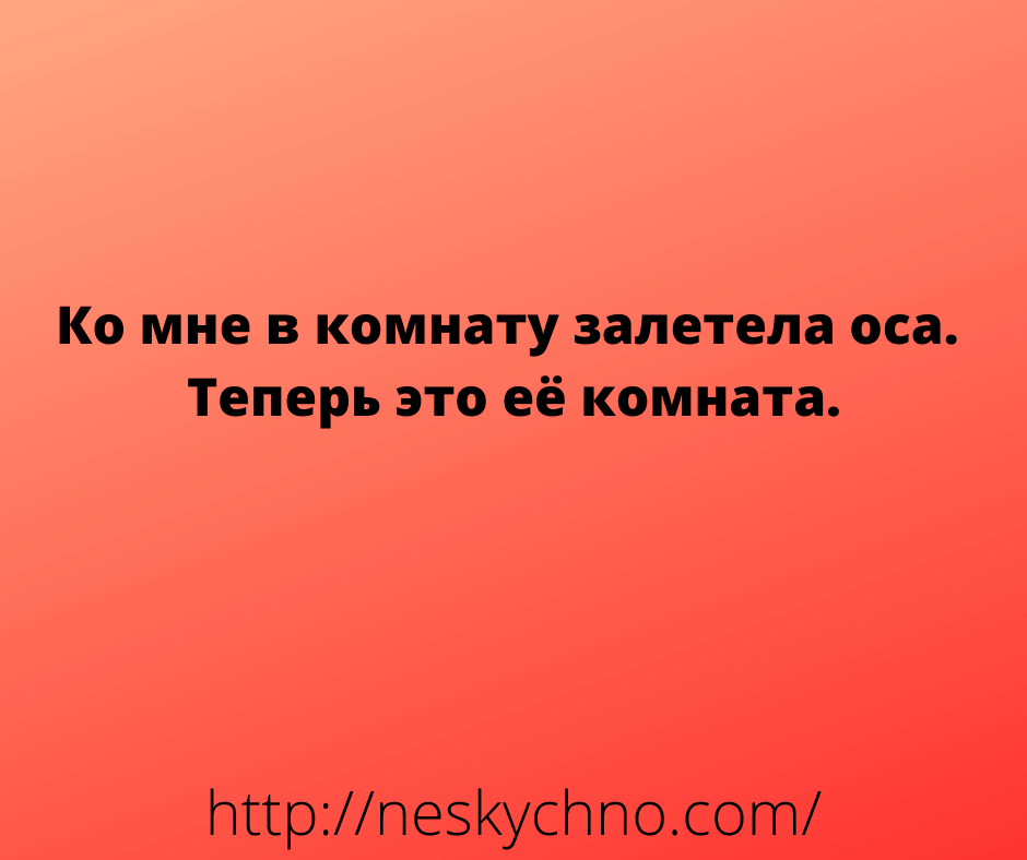 Лучшие анекдоты дня – для вас Лучшие анекдоты дня – для вас