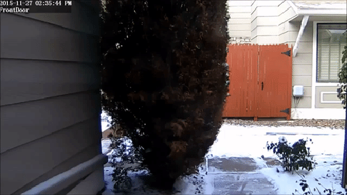 Подборка забавных и жизненных гифок из сети Подборка забавных и жизненных гифок из сети