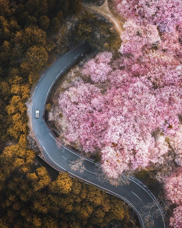 Позитивные фотографии и красивые картинки из сети красивые фотографии,прикольные картинки,шикарные фотографии