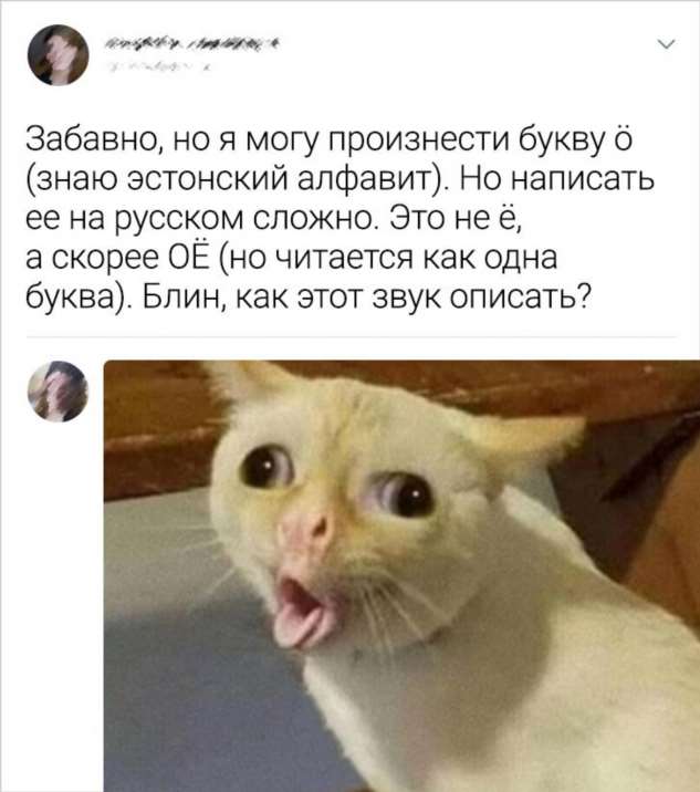 20+ человек, которые хотели просто оставить комментарий, а написали шедевр