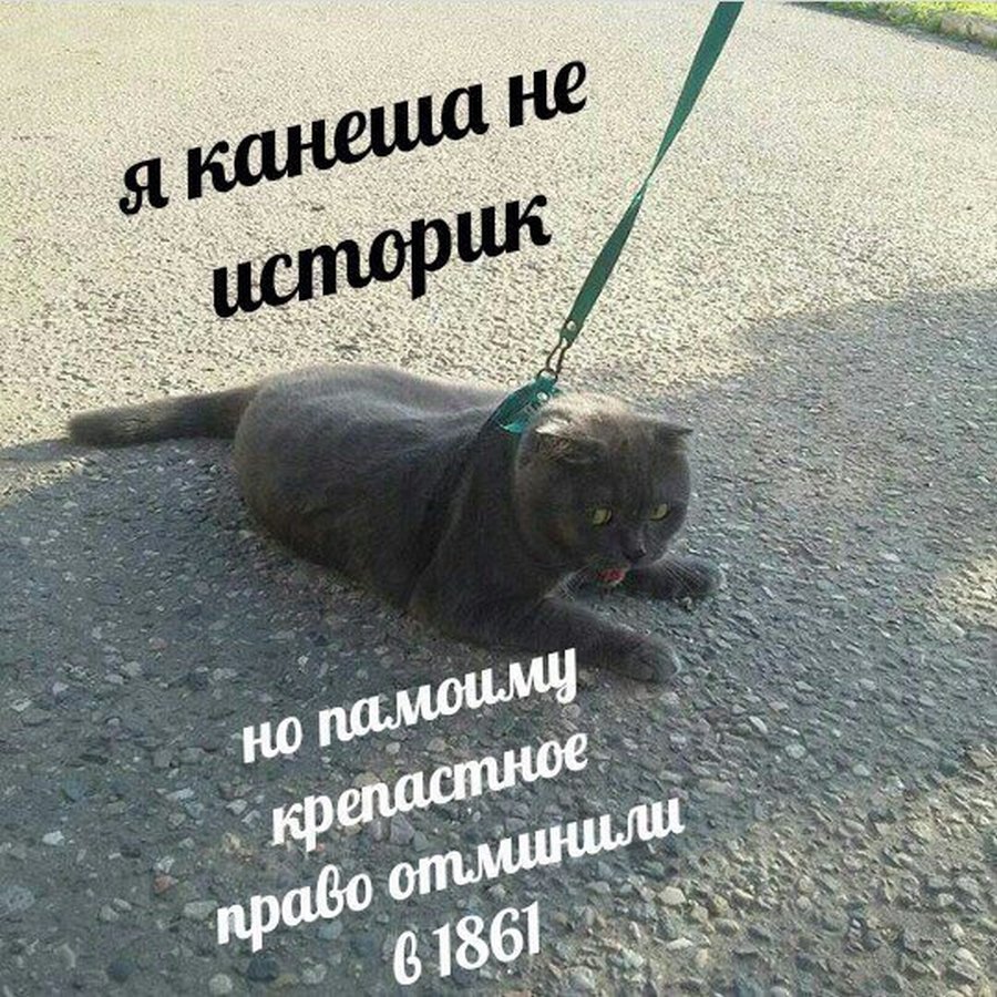 Господи прикольные картинки