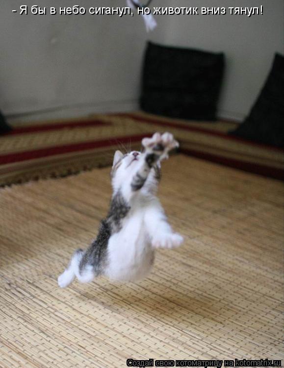 - Я бы в небо сиганул, но животик вниз тянул!