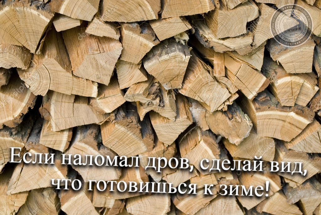 Если наломал дров, сделай вид, что готовишься к зиме!