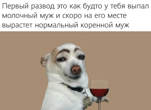 Смешные фотомемы для хорошего настроения Смешные фотомемы для хорошего настроения