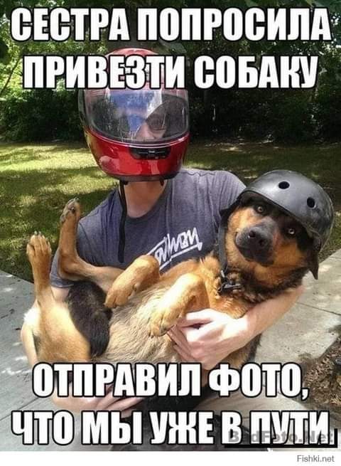 Юмор из интернета 646 Юмор из интернета 646 позитив,смех,улыбки,юмор