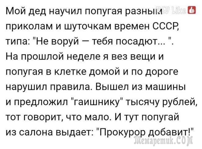 А вы тоже учились правильно есть бутерброд по совету кота Матроскина?