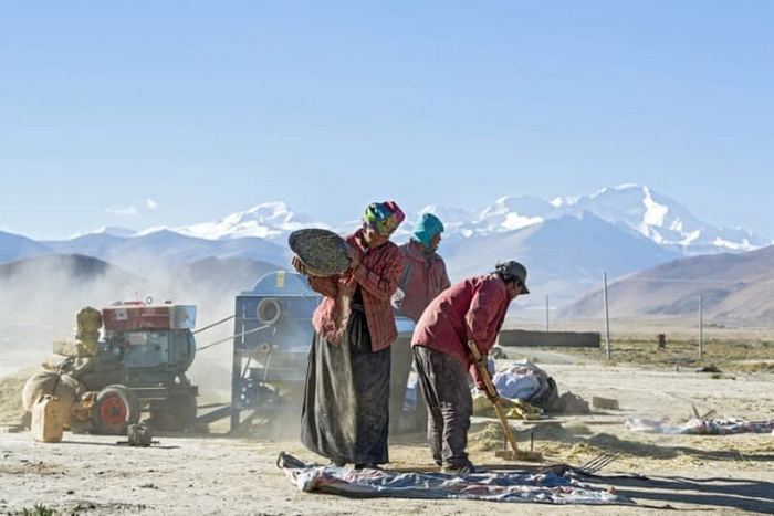 От кого произошёл человек, кем были родители Тутанхамона и другие факты, которые сделали ученые при анализе древней ДНК биология,интересное,история,наука,факты