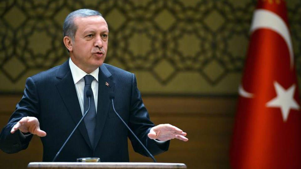 Эрдоган выступил за решение спора Москвы и Киева мирным путем