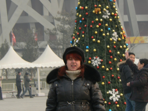 Аллея елок в олимписком парке.Пекин