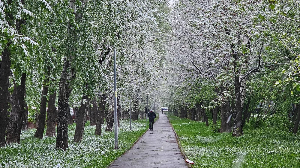 Метеоролог: осадки в виде мокрого снега в Москве в ближайшие дни продолжатся