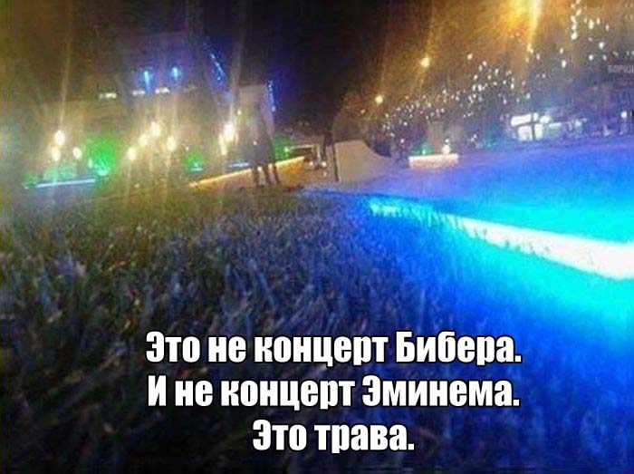 Подборка картинок. Дневной выпуск (50 фото)