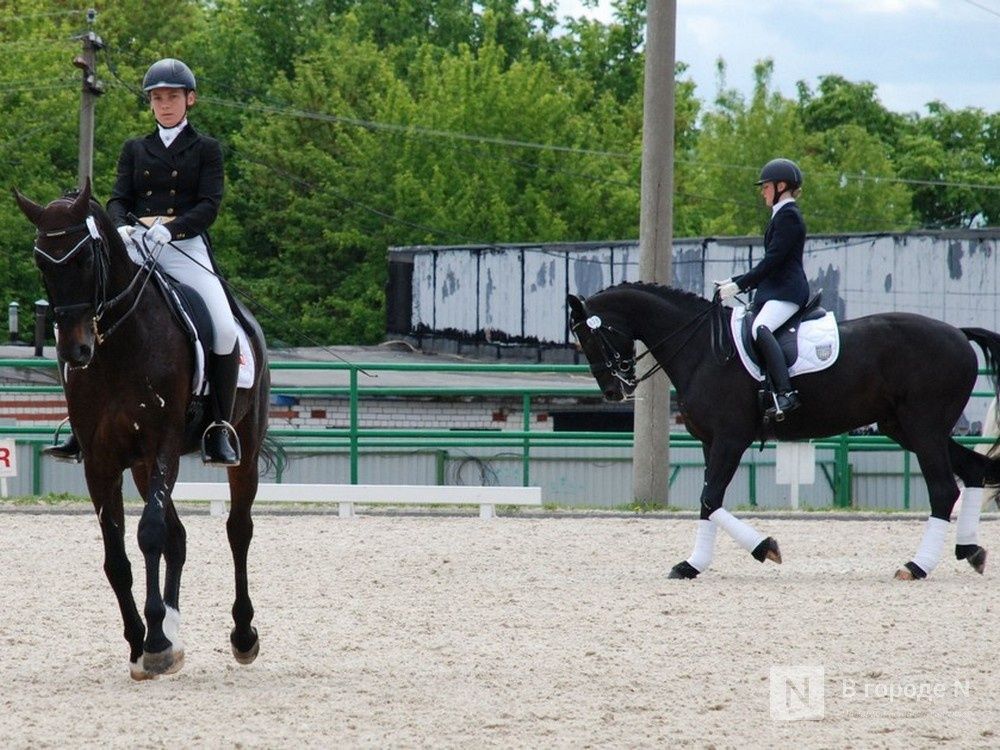 Любителей лошадей не пустят на Чемпионат России по выездке в Нижнем Новгороде - фото 1