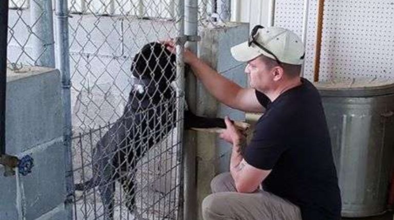 BeFunky-collage - 2020-04-14T101409.839