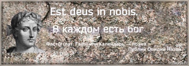 Красивые фразы на латыни с переводом о жизни. Крылатые выражения и пословицы