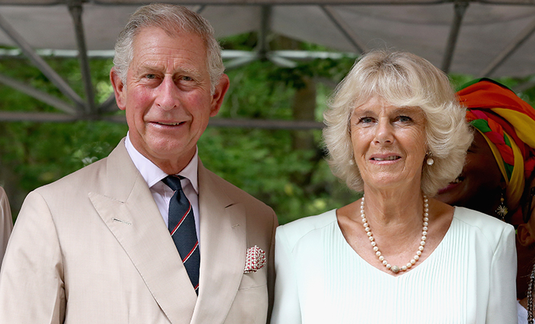 Принц Чарльз и Камилла Паркер-Боулз отметили 15-ю свадебную годовщину: новое фото