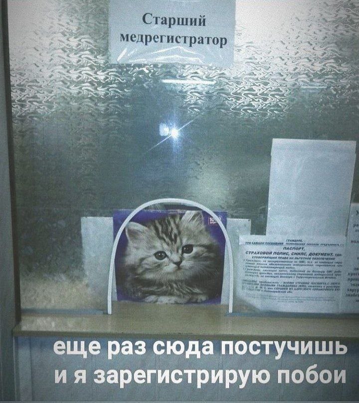 19 свежих картинок с надписями 