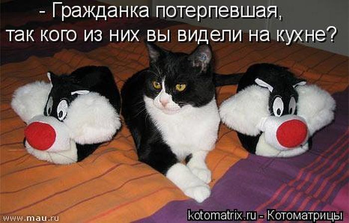 Мысли вслух :)