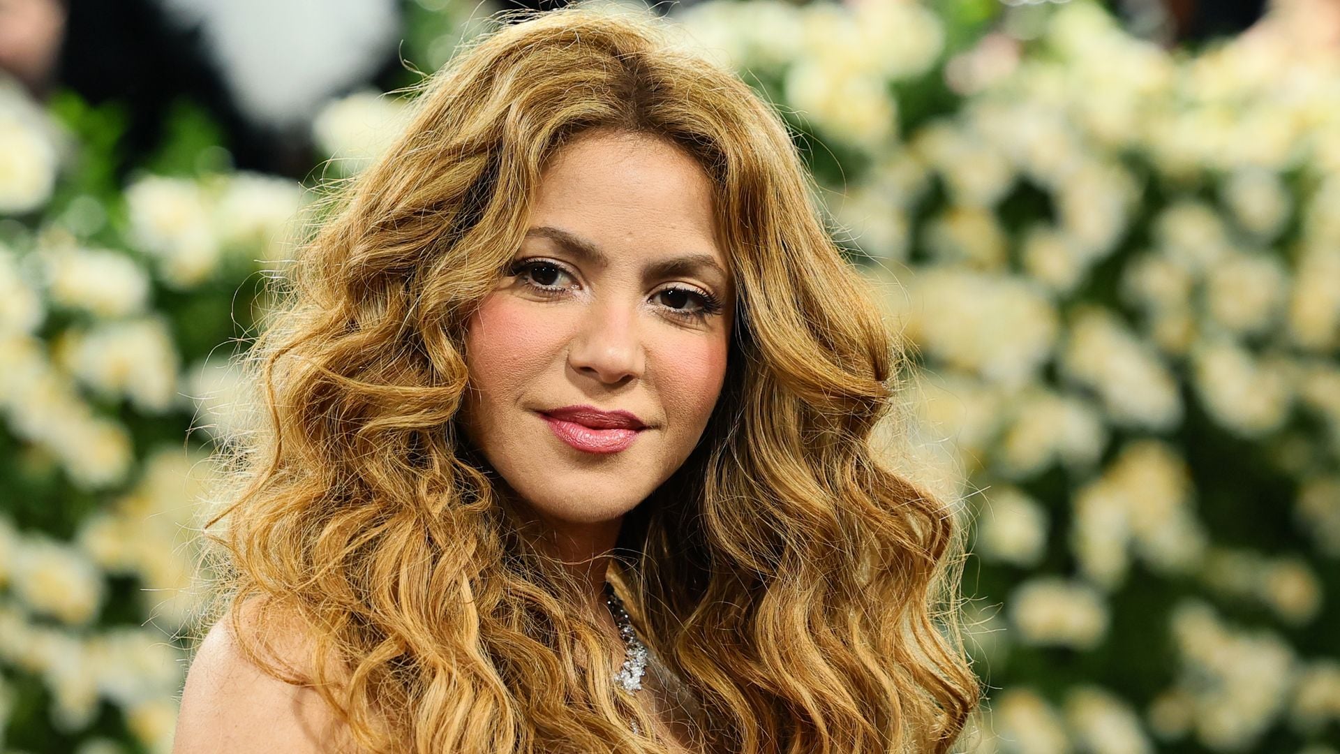 Шакира (Shakira) была Ошеломлена своей номинацией в Зал славы рок-н-Ролла Billboard, альбомом, славы, первой, рокнролла, также, таких, Шакира, который, Fijación, мировых, которые, Барранкилье, говорит, жанрами, когда, Descalzos, будет, просто, благодаря