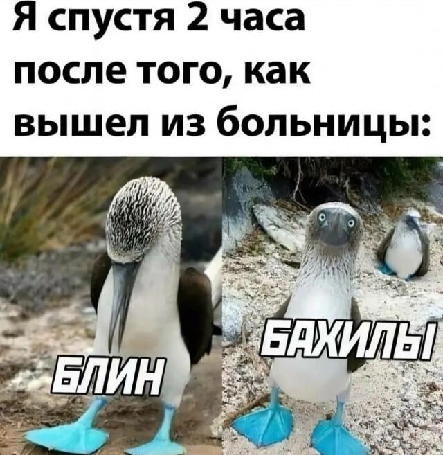 Прикольные картинки с надписями и причины болей в шее Прикольные картинки с надписями и причины болей в шее