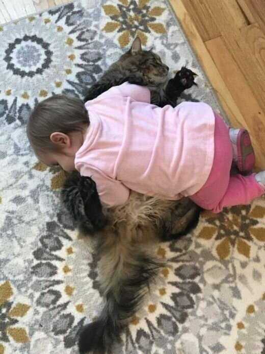 О дружбе О дружбе