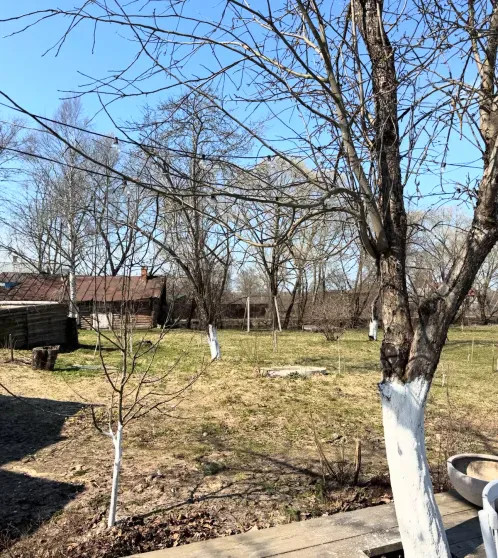 Покраска окон, побелка деревьев: Виктория Шелягова открыла сезон в Холуе Виктория, Шелягова, хлопоты, также, ресторане, гостей, друзей, время, Холуй, Ивановской, ШеляговаВиктория, декабре, устраивала, предновогоднюю, вечеринкуНапомним, замужем, 52летняя, 59летним, бизнесменом, совладельцем