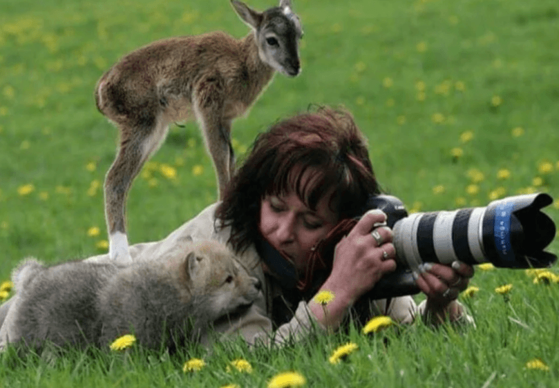 Забавные дуэты: животные и фотографы фотографировать, Фотографы, делаешь»«Я, горизонт, завален, второй, яркость, поменяй»«А, научи, хотим, стать, фотографами»«Эй, человек, косолапый, салага, фотографирую, хорошо»«Хватит, Давай, играться»«А, Еда»«Куку