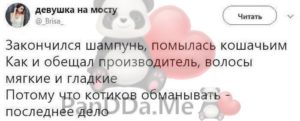 Для отличного настроения мы подготовили 15 коротких смешных и жизненных историй 