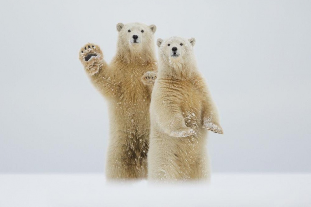 20   National Geographic