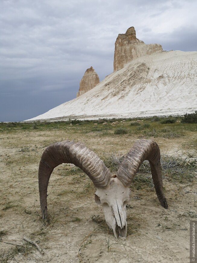 Там, где сбываются мечты поездка,путешествие,страны,туризм