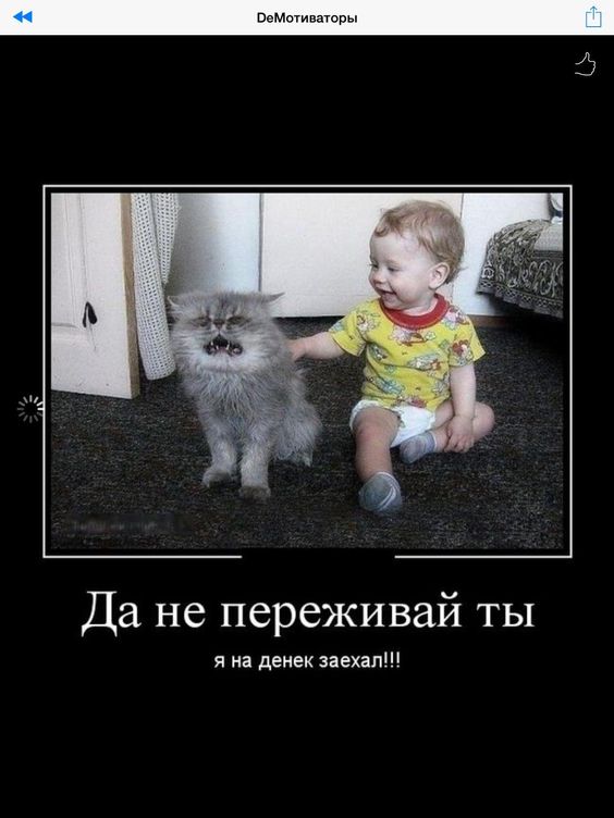 Надпись на заднем бампере: “Не биби, бибун!” анекдоты,демотиваторы,приколы,юмор