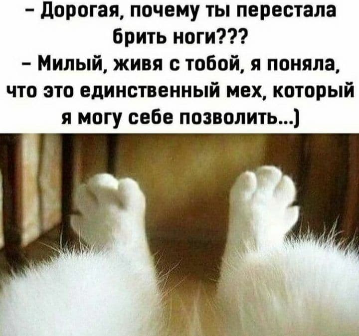 - Пап, а откуда в унитазе берутся бактерии, которых уничтожает Доместос?...