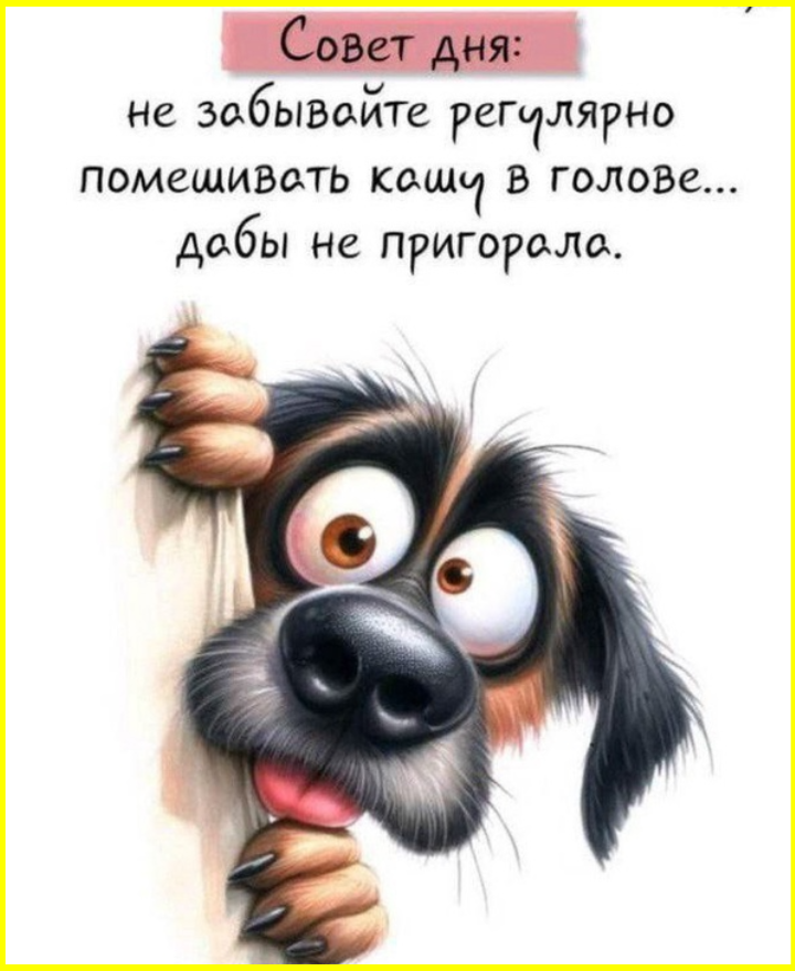 Если бы во времена Потопа вместо Ноя был Трамп, то Потопа бы не было Если бы во времена Потопа вместо Ноя был Трамп, то Потопа бы не было