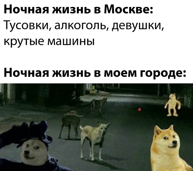 Подборка прикольных картинок 