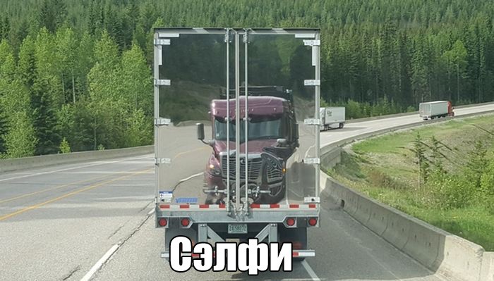 Подборка прикольных фото  (101 фото)