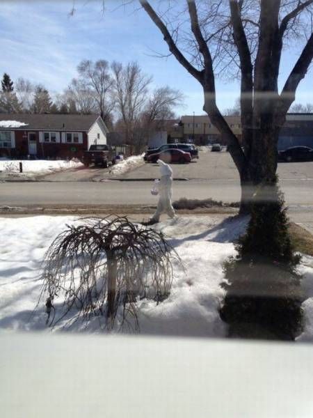 Прикольные картинки. Дневной выпуск (55 фото)