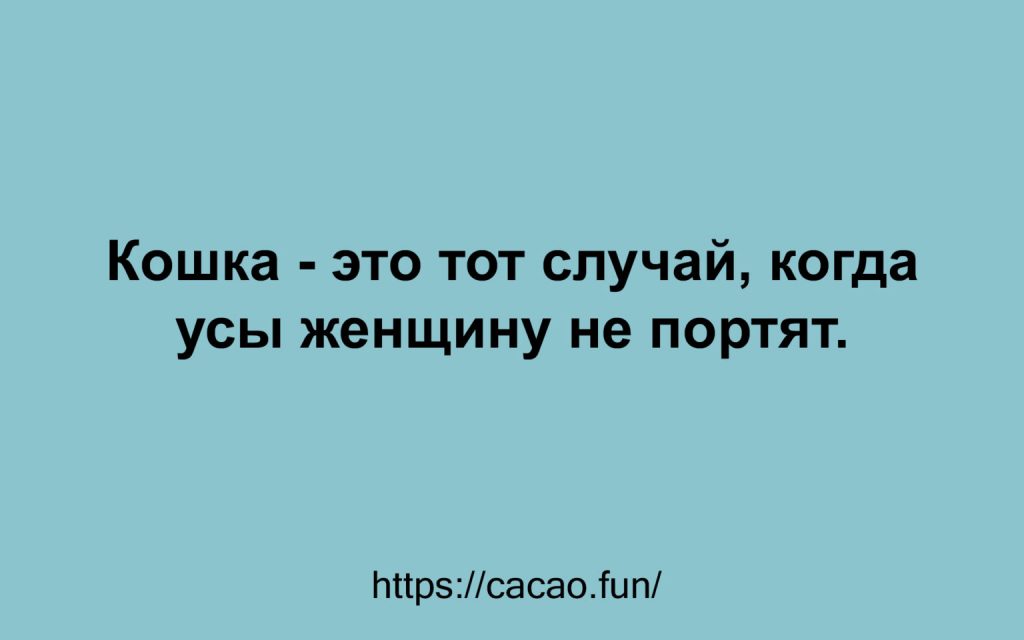 10 интересных и забавных анекдотов, которые поднимут вам настроение 