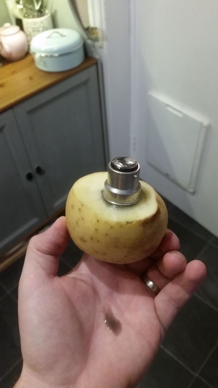 Props To My Wife For A Life Hack That Totally Worked. Removing A Broken Light Bulb With A Potato