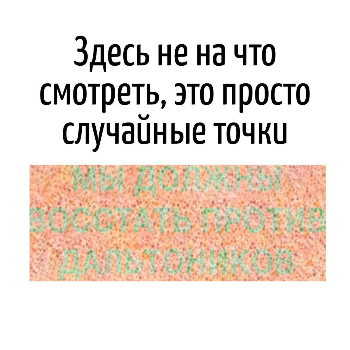 Смешные картинки с надписями и вегетарианские креветки 