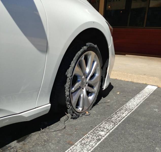 Подборка прикольных картинок Подборка прикольных картинок приколы,смешные картинки,юмор