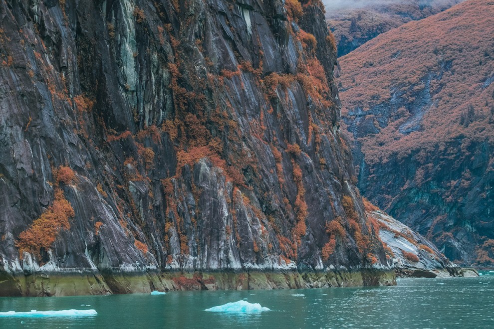 Инфракрасная фотография