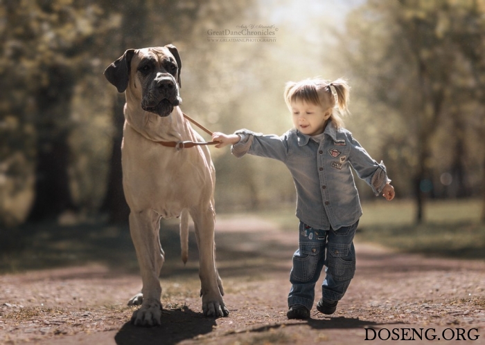 Очаровательные снимки детей и собак