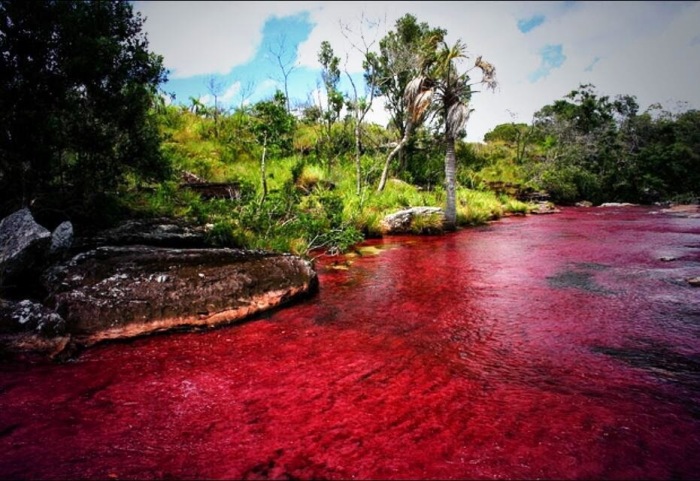 Основной цвет реки, а точнее, ее водорослей - ярко-красный. /Фото: blogspot.com