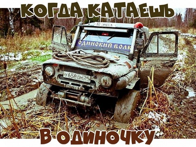 Подборка добрых и весёлых картинок №71 Подборка добрых и весёлых картинок №71 отдых