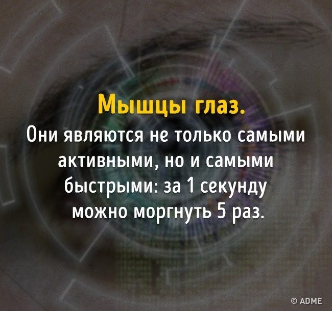 Тест на эрудицию: 13 вопросов, которые покажут, не пора ли вам обратно в школу